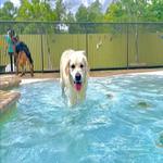 Business Closed - photo 1