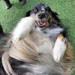 Business Closed - photo 2