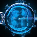 Australian Concept Infertility Medical Center - photo 1