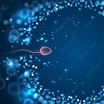 Australian Concept Infertility Medical Center - photo 3