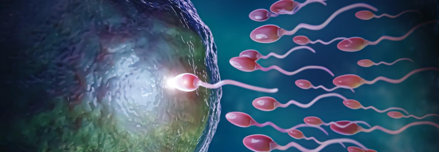 Australian Concept Infertility Medical Center cover photo