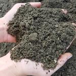 Lammon Brothers - photo 3