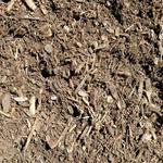 Lammon Brothers - photo 4