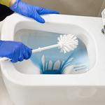 Mint Cleaning Clive - photo 2