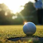 Fernando Martinez Golf - photo 1