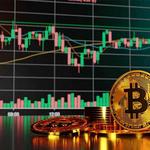 Anna CryptoInsight - photo 8