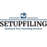 Setupfiling - Professional Services in New Delhi