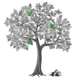 Église à Paris - Churches in Paris