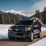 Black Mountain Limousine - photo 3