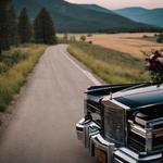 Black Mountain Limousine - photo 10