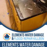 Elements of Restoration - photo 1