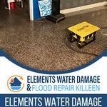 Elements of Restoration - photo 2