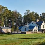 MAMO Architects - photo 8