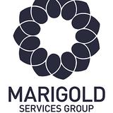 Marigold Services Group Pty Ltd - Local Services in Sydney