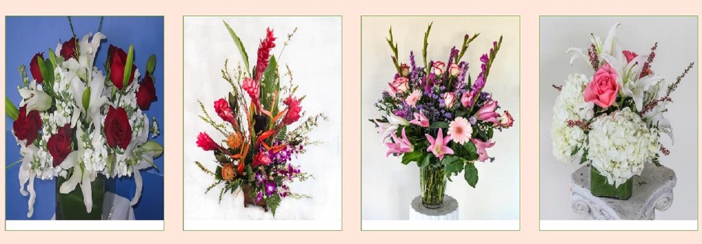 Sal the Flower Guy cover photo