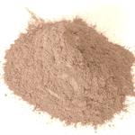 Mimosa Hostilis Australia - photo 2