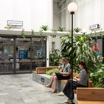 Queensland X-Ray | Bowen Hills | X-rays, Ultrasounds, CT Sounds, MRIs & more - photo 1