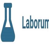 laborumzug-in-duisburg.de