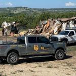 BIG DONKEY Hauling & Junk Removal - photo 2