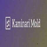 Kaminari Mold - Professional Services in Bonita Springs