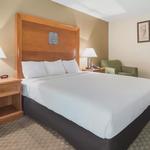 Rodeway Inn - photo 4