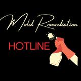Mold Remediation Hotline Miramar FL - Home Services in Miramar
