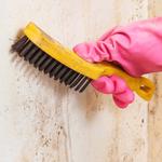 Mold Remediation Hotline Miramar FL - photo 2