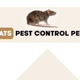 Rats Pest Control Perth - Pest Control in Perth