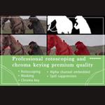 Frame Founder - photo 1