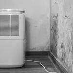 Northeast Basement Solutions - photo 10