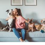 Fetch! Pet Care Dallas, TX - photo 2