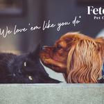 Fetch! Pet Care Dallas, TX - photo 5