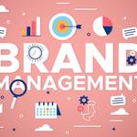 Moobila-Marketing Agency California - photo 3