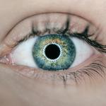 Dr. Timothy Parker - Ellijay Family Vision - photo 4