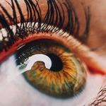 Dr. Timothy Parker - Ellijay Family Vision - photo 5