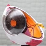 Dr. Timothy Parker - Ellijay Family Vision - photo 6