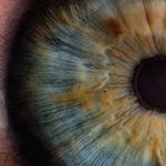 Dr. Timothy Parker - Ellijay Family Vision - photo 7