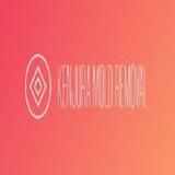 Kenjura Mold Removal - Professional Services in Clermont