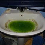 999 Plumber Bracknell - photo 4