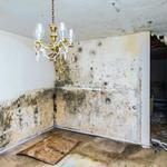 Champion Cleaning Systems - photo 10