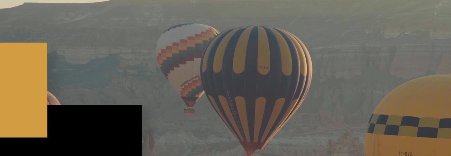 Bailey Stone Travel Agency cover photo