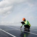 Project Management Vision - photo 3