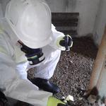 ALR Asbestos Survey Swansea Ltd - photo 3