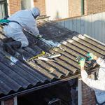 Luna Asbestos Removal Whitby Ltd - photo 3