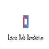 Loteria Mold Remediation - Professional Services in Boise