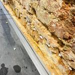 Max Damp Proofing - photo 3