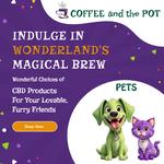 Coffee and the Pot - photo 3