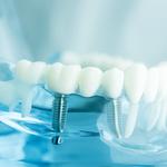 Bushey Dental Surgery - photo 4