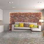 NY Basement Water Cleanup & Removal pros Flooded - photo 2