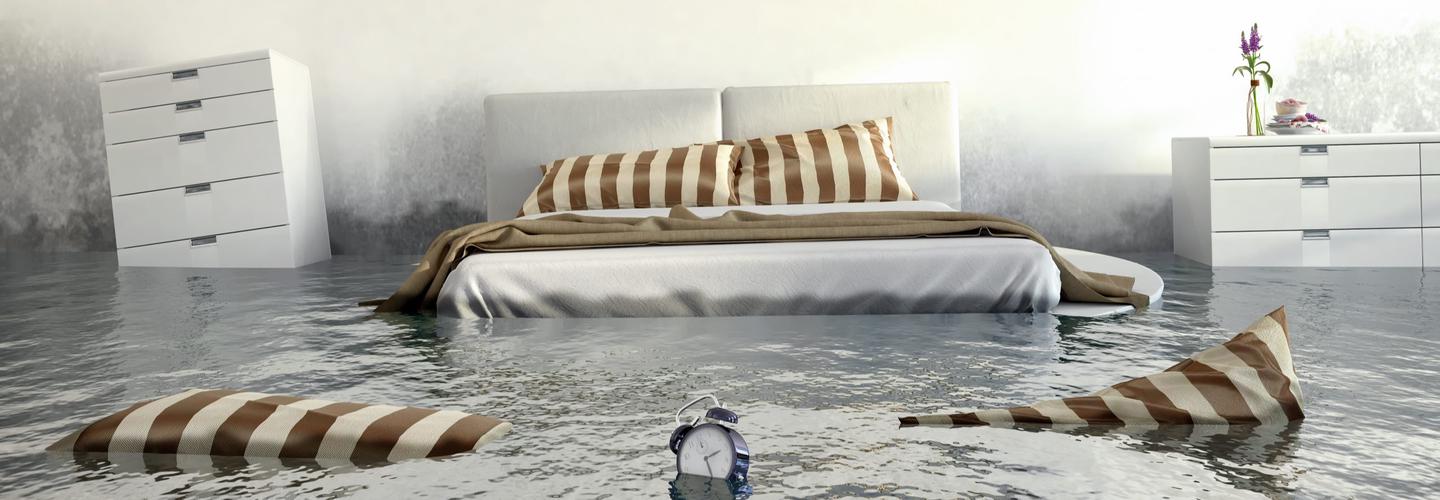 NY Basement Water Cleanup & Removal pros Flooded cover photo